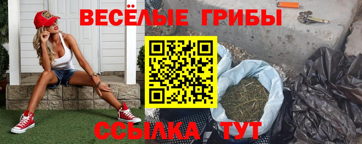 Псилоцибиновые грибы MAGIC MUSHROOMS  Вход с VPN  Псилоцибиновые грибы Psilocybe  Морозовск 
